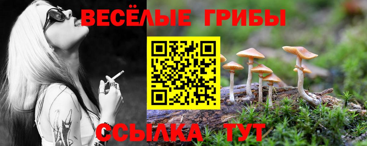 Псилоцибиновые грибы GOLDEN TEACHER Зима